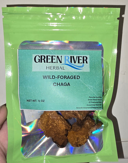 Chaga Fruiting Body