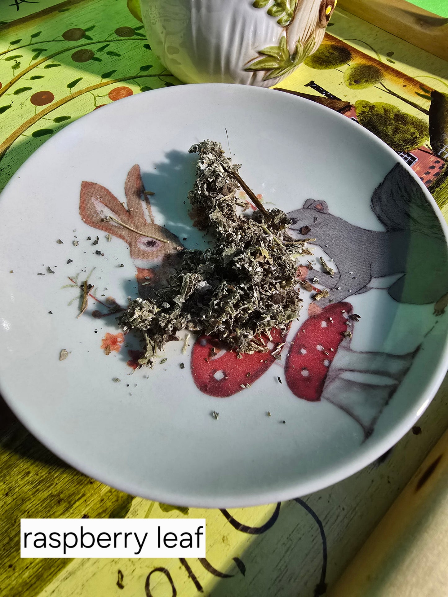 Organic Herbs and Teas (half ounce)