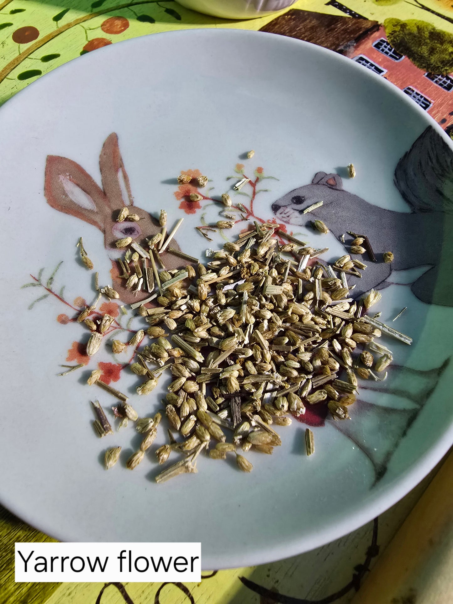 Organic Herbs and Teas (half ounce)