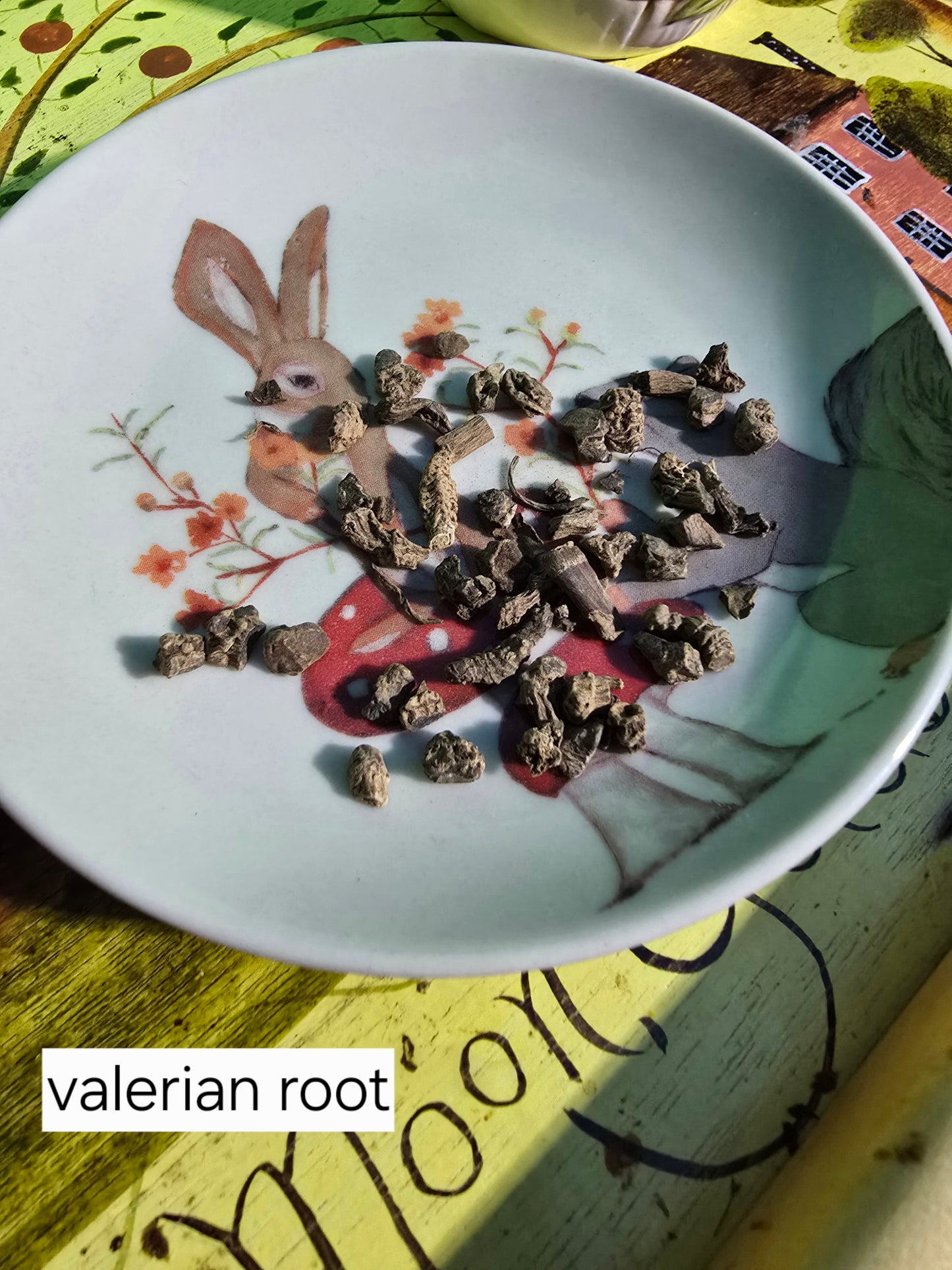 Organic Herbs and Teas (half ounce)