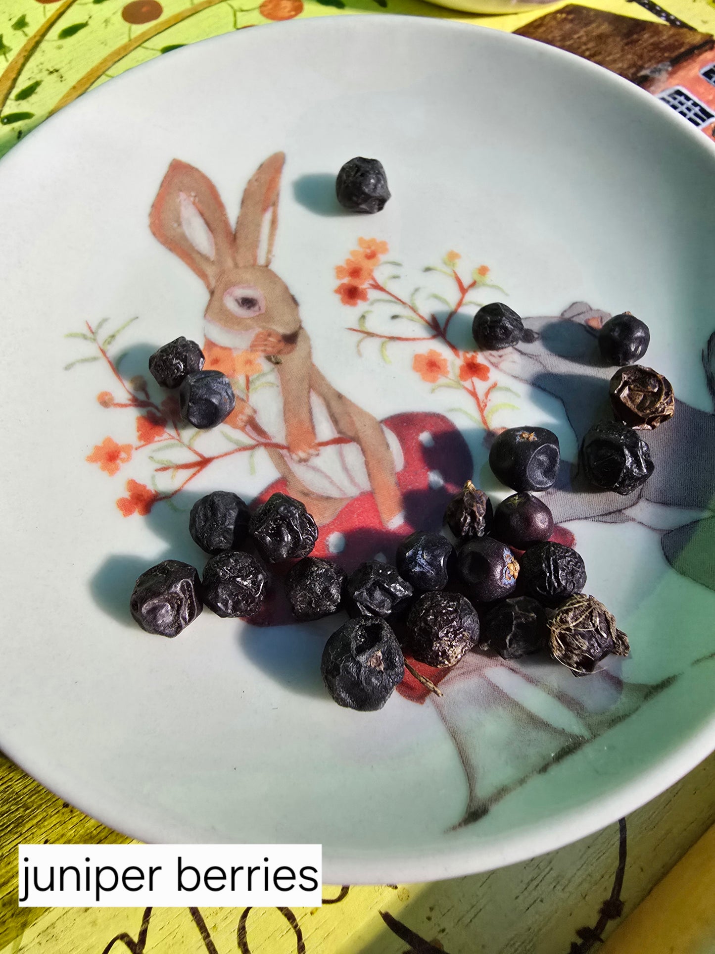 Organic Herbs and Teas (half ounce)