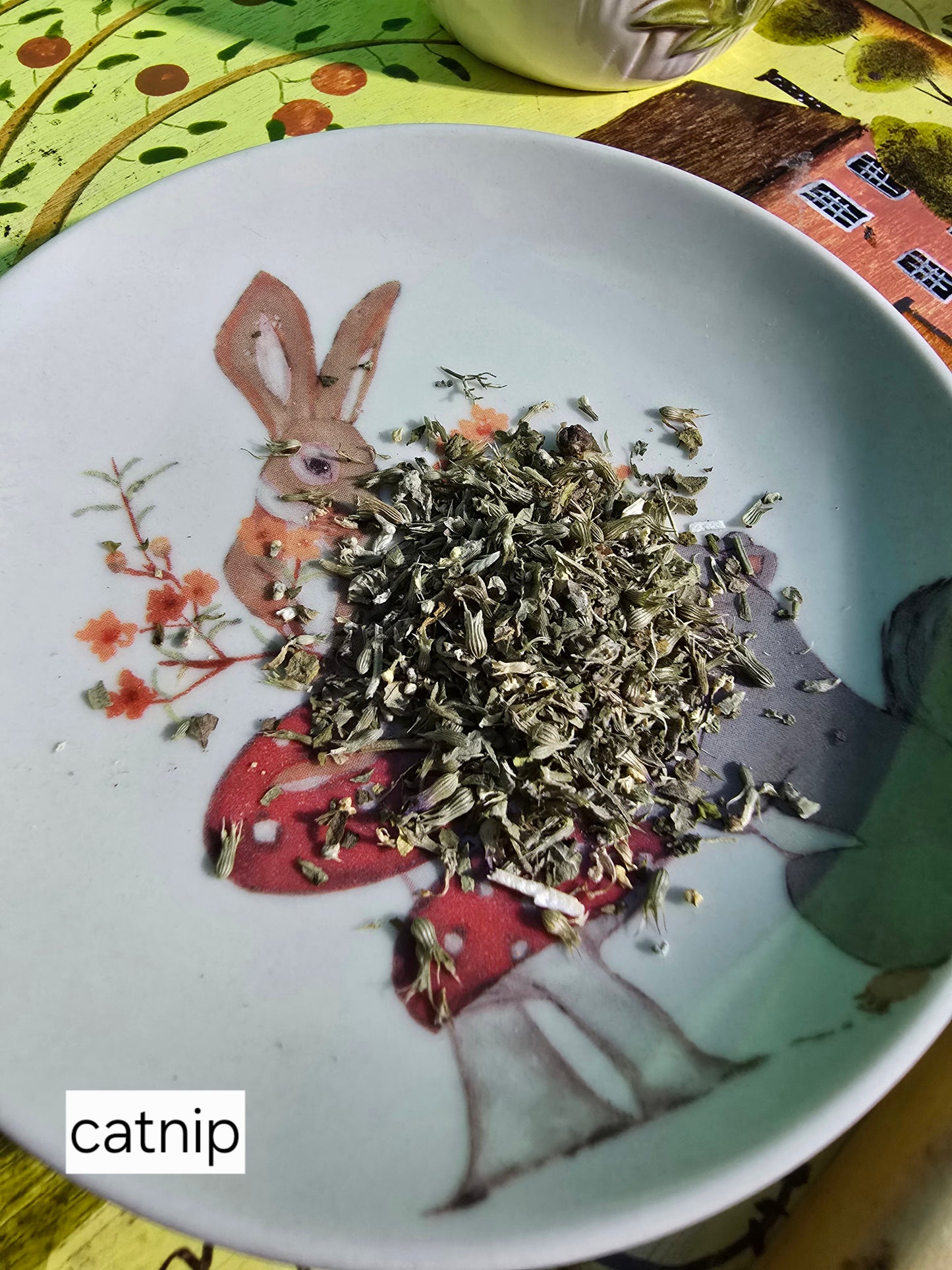 Organic Herbs and Teas (half ounce)