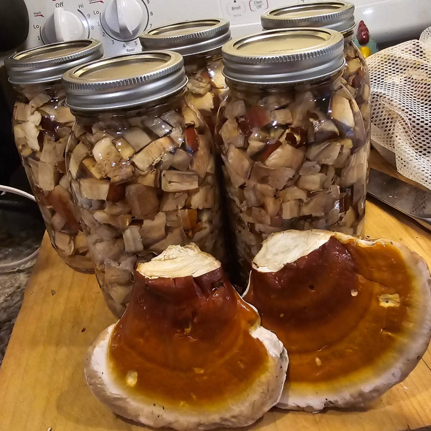 Reishi Dual-Extract Tincture